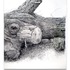 20130207175537-rick_shaefer_4_oak_drawing_central_panel
