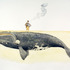 20130207203520-naufrageuse-no