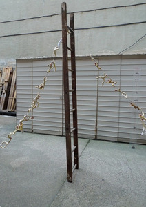 20130207223356-men_on_the_ladder
