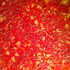 20130208025326-02_petalicious