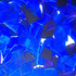 20130208033257-05_morea