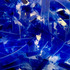 20130208033932-blueberry