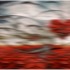 20130208181906-image