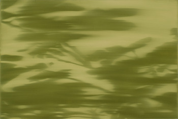 20130208200409-la_nature_iii