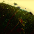 20130209023503-juryapproach
