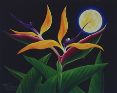 Strilitzia_in_moonlight_1
