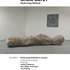 20130209073013-artvoices_cb1_-_chris_oatey_2013_rv1