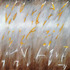 20130209165712-higher_math