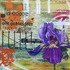 20130210004031-an_iris_for_the_tennessean_by_andrea_lahue