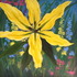 20130210023849-big_yellow_lily_andrealahue