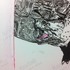 20130210052308-turtle2_-_copy