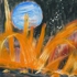 Untitled123333