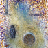 20130210143731-thaetre_de_la_creation