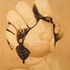 20130210191043-cheplyentry_1-100__natural__13-and_then_what