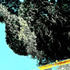 20130210203702-yzk_2
