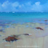 20130211160712-playa_12__bigsm__3