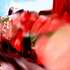 20130211173526-bild9