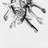 20130211184654-medusa_i_63495311513_2012