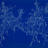 20130212050249-alan_michael-anotomy_of_a_painting-2010_-24-x-32_-ink_on_paper