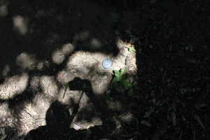 20130212072423-img_7416