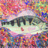 20130212175131-aborre_liten2