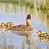 20130212182254-can___kids_0003
