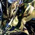 20130213063843-metal_bwm