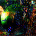 20130213065415-wb_circle_maximus_2-15-12_1