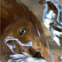20130213073115-marked_lingering_doubt_small
