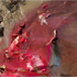 20130213073949-mugen_noh_fb_orig_marked