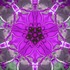 20130213142933-image