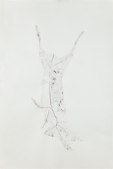 Untitled (Hare),Vincent Chenut