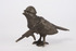 Mj_finch_helmut