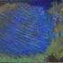 20130214212528-force__18_x_44_