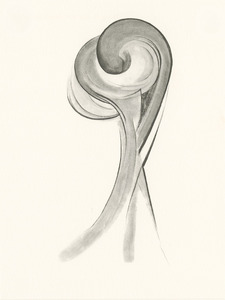 20130215062719-okeeffe