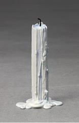 still.life. (snow white candle),Ugo Rondinone
