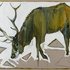 20130215155306-_thumb_-10_jpg_1000x750_detail_q85