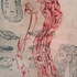 20130215181110-encyclopedic_series_no
