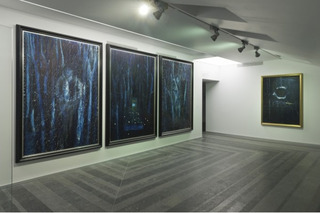 Installation View,