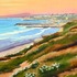 20130228235510-carlsbad_coastline_faa