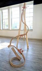 Spatial Drawings,Emily Hermant