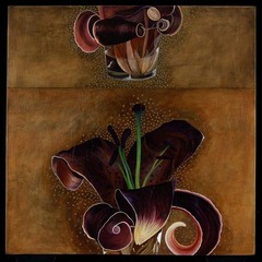Duality (10),Olga Seem