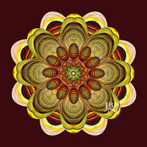 20130217231441-flower4fridakahlo600