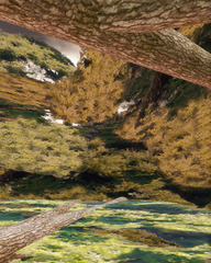200805262351, from the series The Metaverse is Beautiful ,Joel Lederer