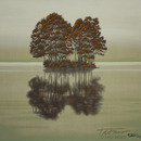 20130218092052-tataro-island