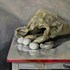 20130218204642-kaimaneggsandbagels26x20