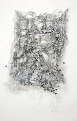  Disrupted Barrier,Dana Melamed
