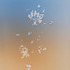 20130220014449-tatiana-echeverri-fernandez_2012_colour-photogram_reception-berlin