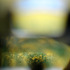 20130220153912-abstract-landscape