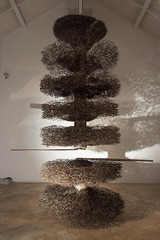 No Title (from \'Become the Wind\'),Sakshi Gupta